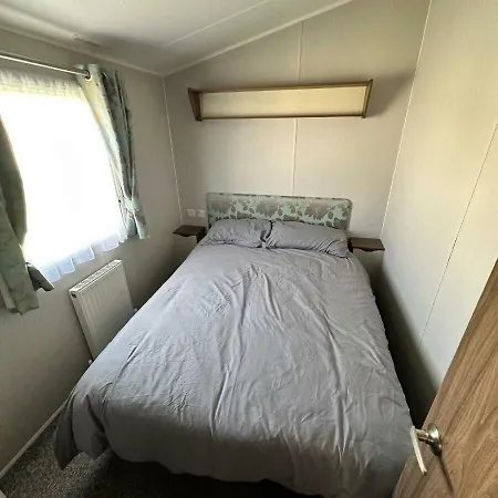 Blue Dolphin - 18595